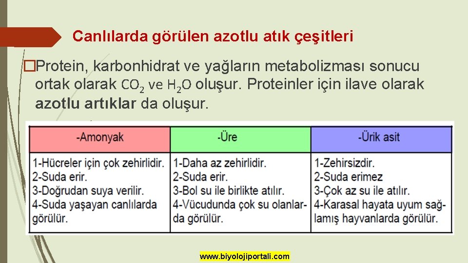 Canlılarda görülen azotlu atık çeşitleri �Protein, karbonhidrat ve yağların metabolizması sonucu ortak olarak CO