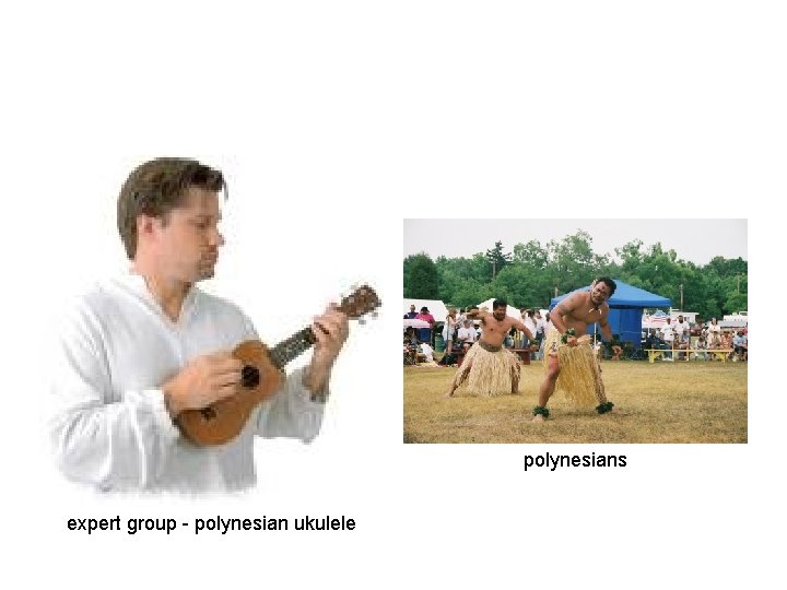 polynesians expert group - polynesian ukulele 