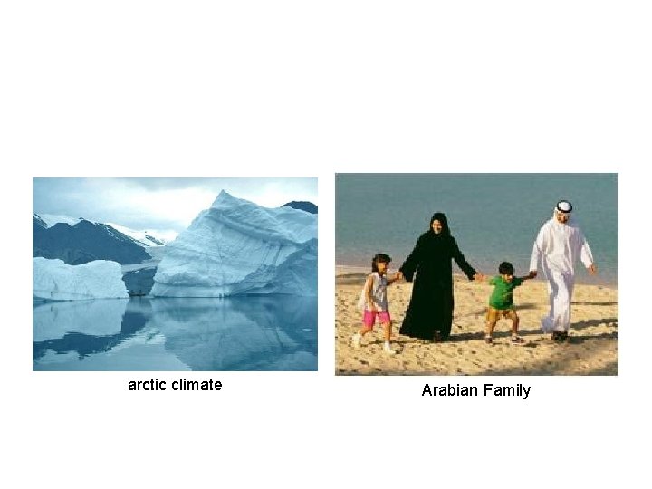 arctic climate Arabian Family 