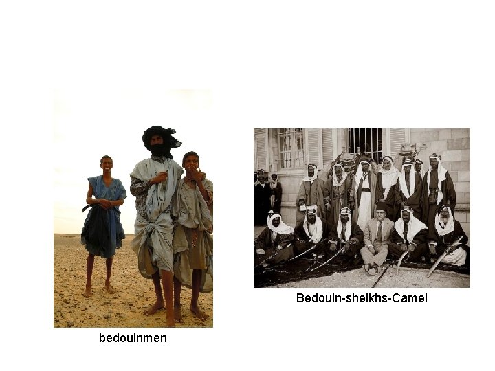 Bedouin-sheikhs-Camel bedouinmen 