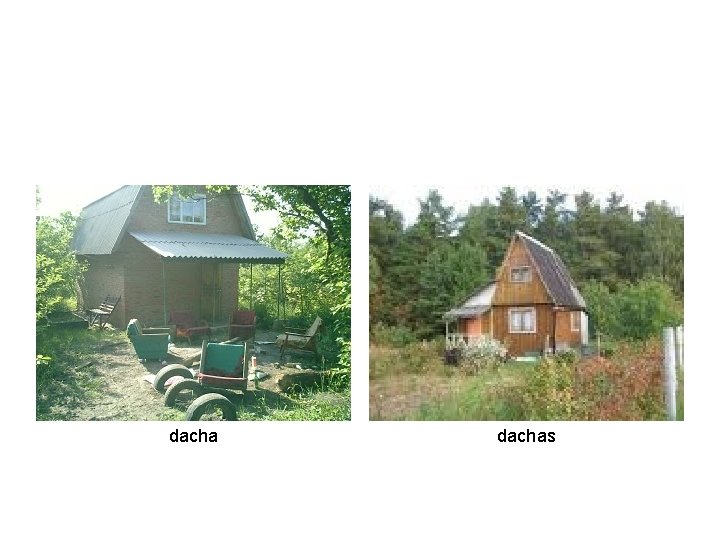 dachas 