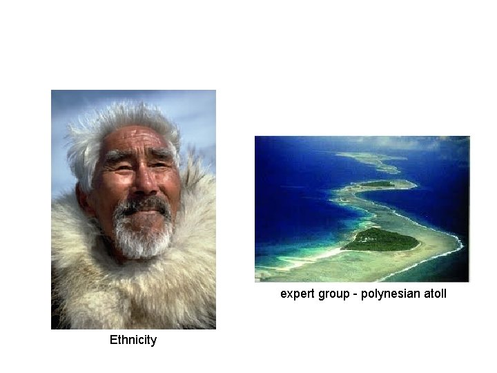 expert group - polynesian atoll Ethnicity 