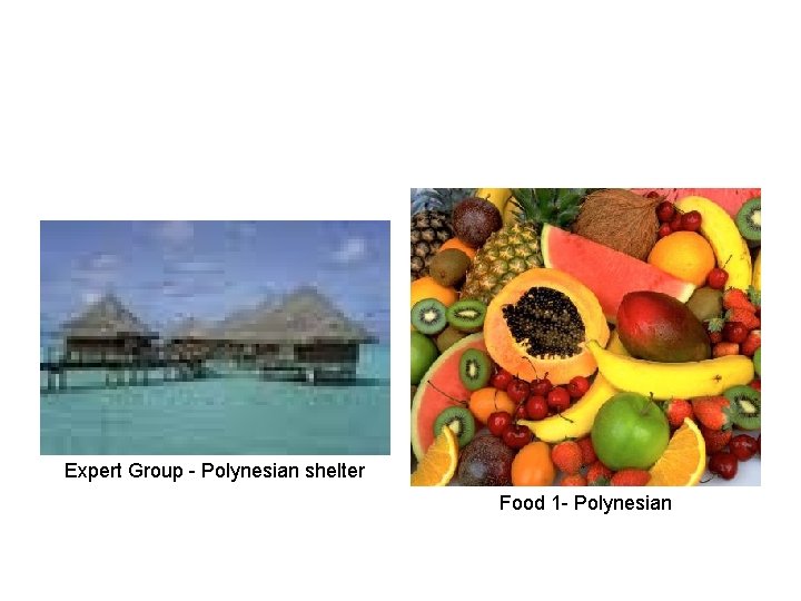 Expert Group - Polynesian shelter Food 1 - Polynesian 