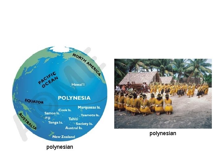 polynesian 
