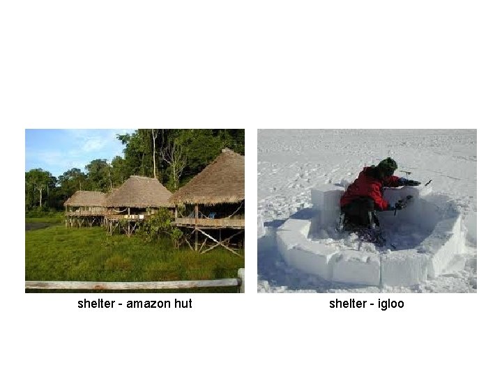 shelter - amazon hut shelter - igloo 