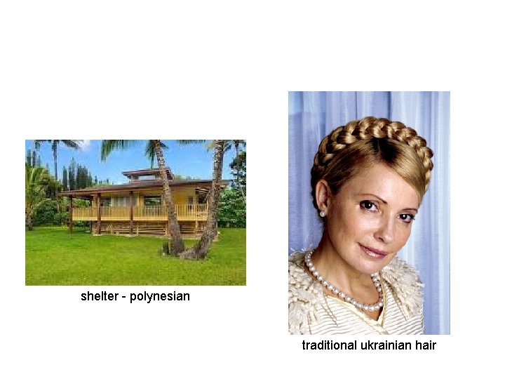 shelter - polynesian traditional ukrainian hair 