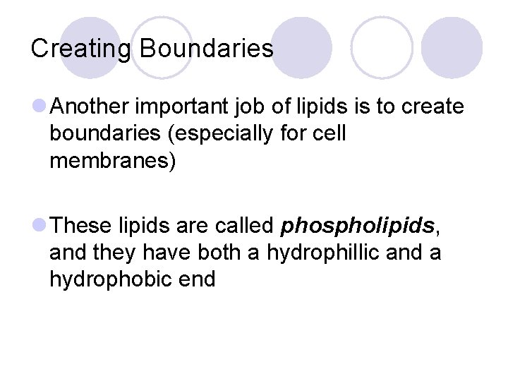 Creating Boundaries l Another important job of lipids is to create boundaries (especially for