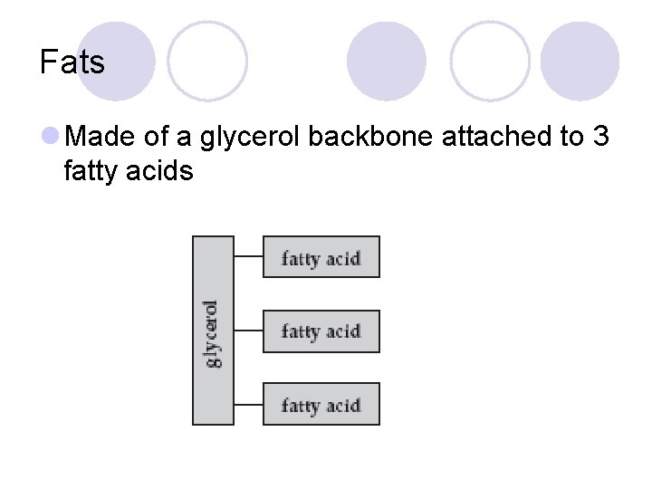 Fats l Made of a glycerol backbone attached to 3 fatty acids 