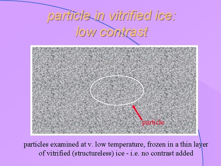 particle in vitrified ice: low contrast particles examined at v. low temperature, frozen in