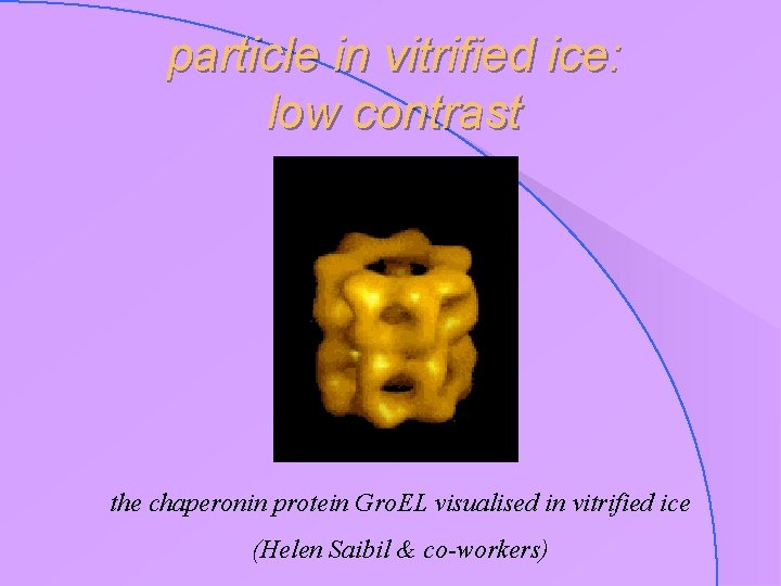 particle in vitrified ice: low contrast the chaperonin protein Gro. EL visualised in vitrified