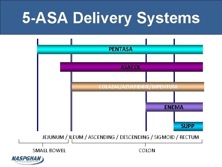 5 -ASA Delivery Systems PENTASA ASACOL COLAZAL/AZULFIDINE/DIPENTUM ENEMA SUPP JEJUNUM / ILEUM / ASCENDING