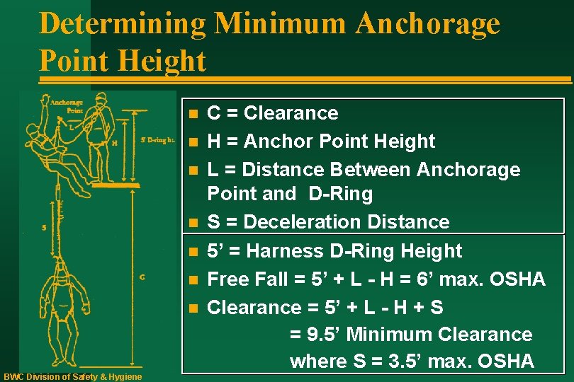 Determining Minimum Anchorage Point Height n n n n BWC Division of Safety &