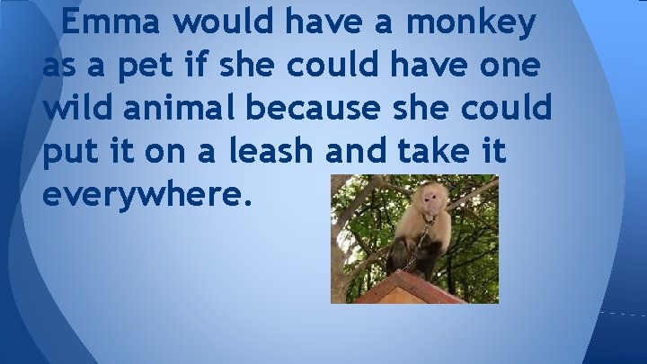 Emma would have a monkey as a pet if she could have one wild