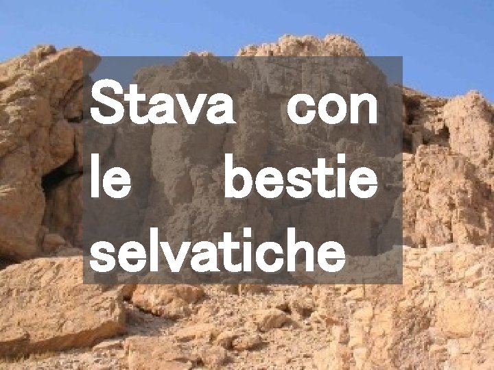 Stava con le bestie selvatiche 