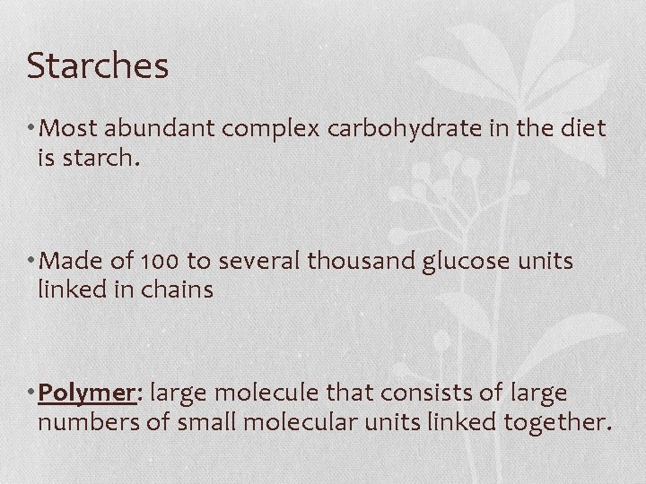 Starches • Most abundant complex carbohydrate in the diet is starch. • Made of