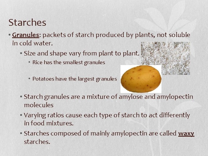 Starches • Granules: packets of starch produced by plants, not soluble in cold water.