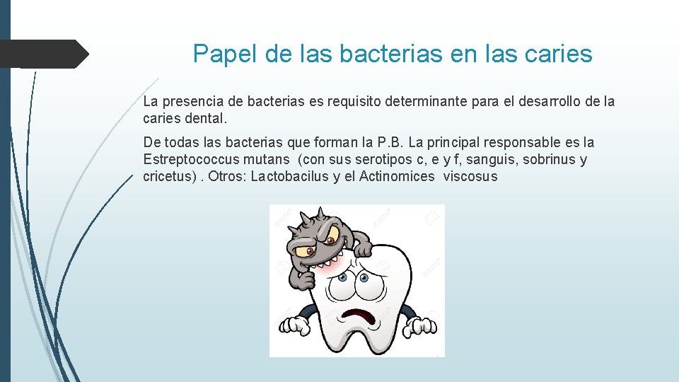 Papel de las bacterias en las caries La presencia de bacterias es requisito determinante