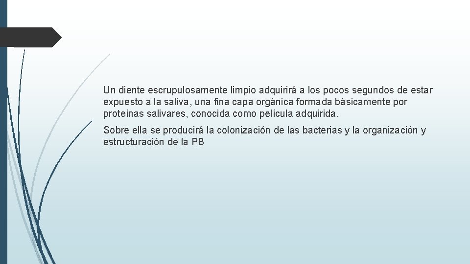 Un diente escrupulosamente limpio adquirirá a los pocos segundos de estar expuesto a la