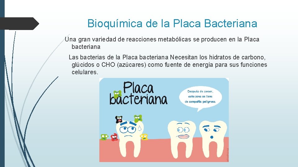 Bioquímica de la Placa Bacteriana Una gran variedad de reacciones metabólicas se producen en