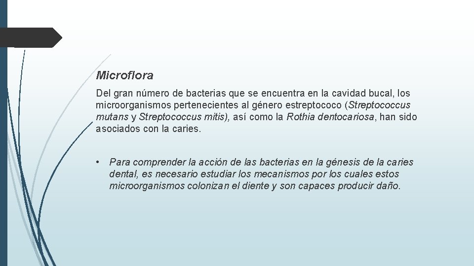 Microflora Del gran número de bacterias que se encuentra en la cavidad bucal, los
