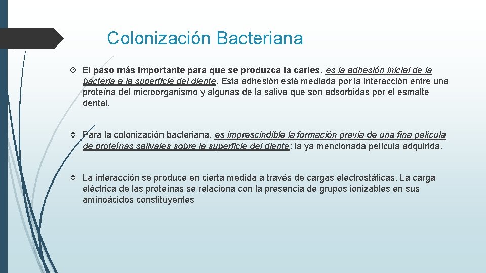 Colonización Bacteriana El paso más importante para que se produzca la caries, es la