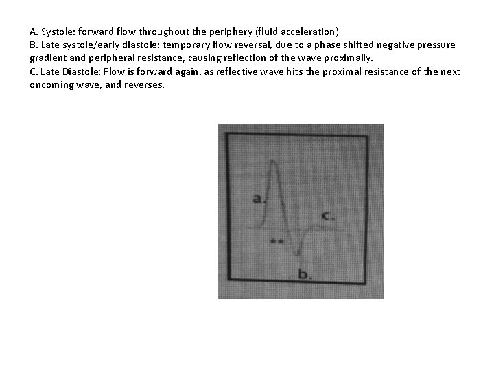 A. Systole: forward flow throughout the periphery (fluid acceleration) B. Late systole/early diastole: temporary