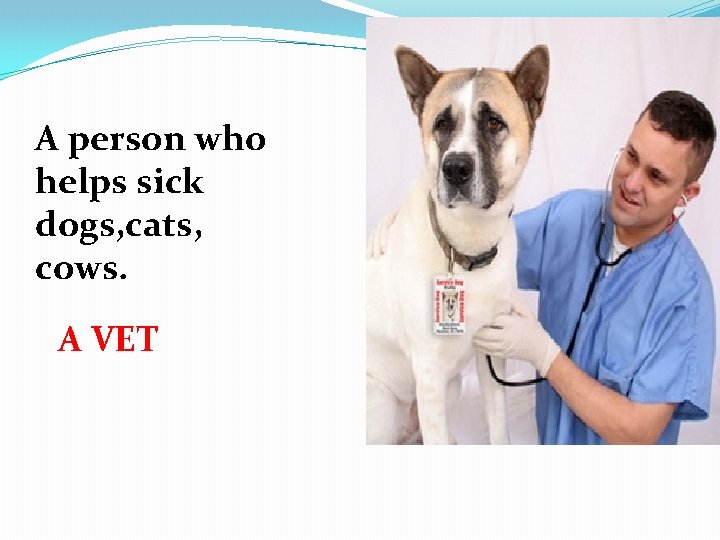 A person who helps sick dogs, cats, cows. A VET 