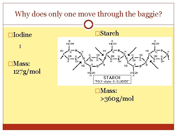 Why does only one move through the baggie? �Iodine �Starch I �Mass: 127 g/mol