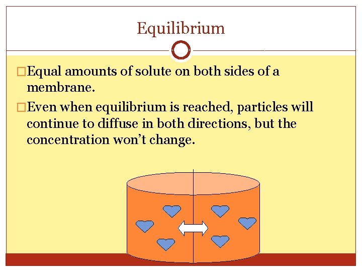 Equilibrium �Equal amounts of solute on both sides of a membrane. �Even when equilibrium