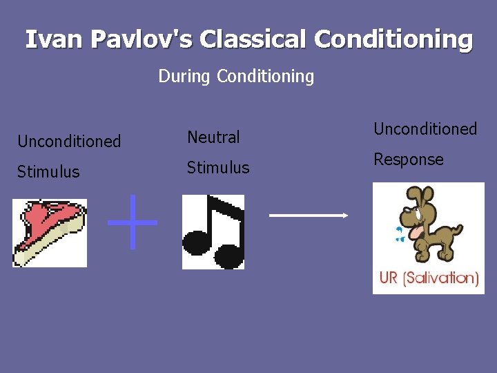 Ivan Pavlov's Classical Conditioning During Conditioning Unconditioned Neutral Unconditioned Stimulus Response 
