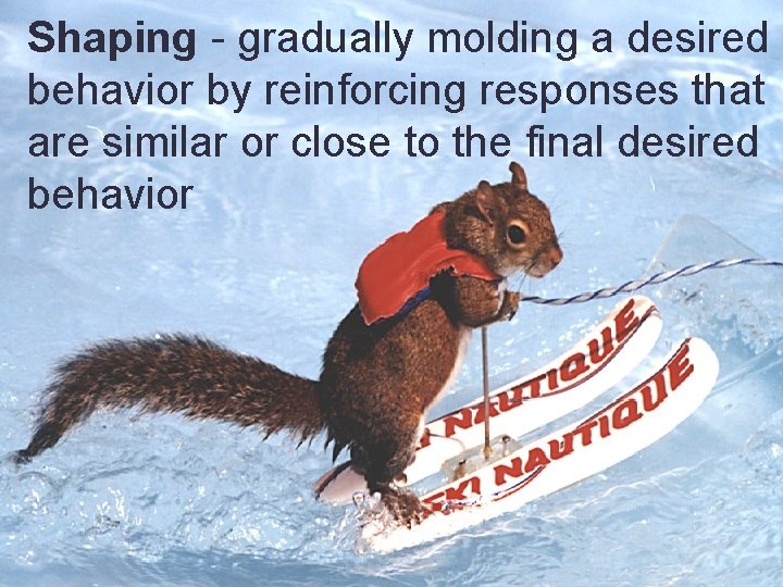 Shaping - gradually molding a desired behavior by reinforcing responses that are similar or