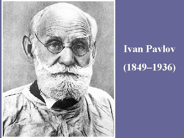 Ivan Pavlov (1849– 1936) 