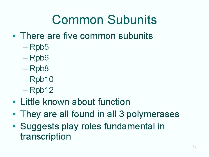 Common Subunits • There are five common subunits – Rpb 5 – Rpb 6