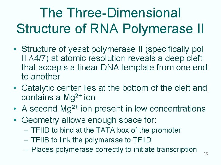 The Three-Dimensional Structure of RNA Polymerase II • Structure of yeast polymerase II (specifically