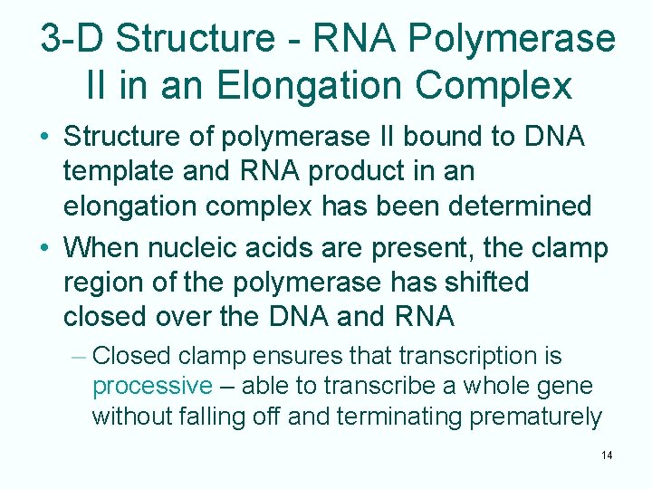 3 -D Structure - RNA Polymerase II in an Elongation Complex • Structure of