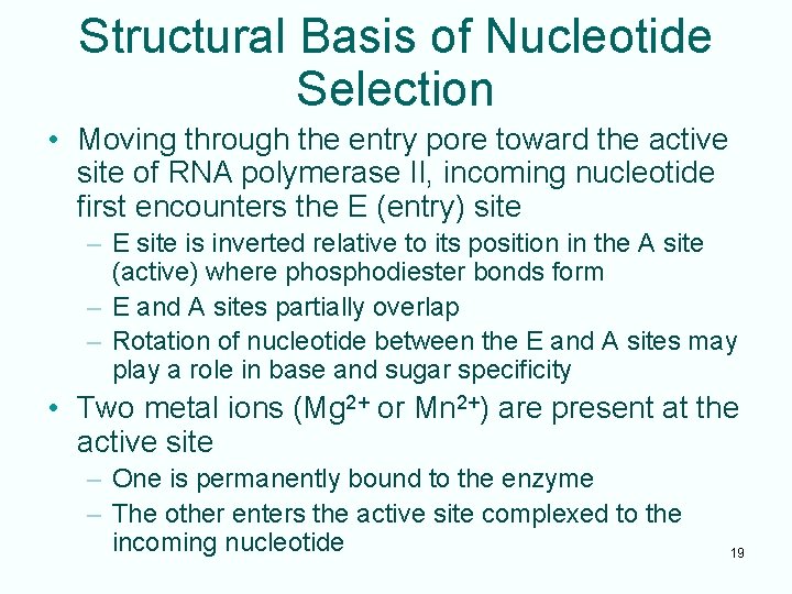 Structural Basis of Nucleotide Selection • Moving through the entry pore toward the active