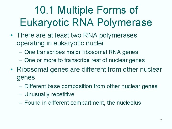 10. 1 Multiple Forms of Eukaryotic RNA Polymerase • There at least two RNA