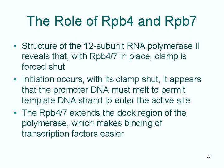 The Role of Rpb 4 and Rpb 7 • Structure of the 12 -subunit