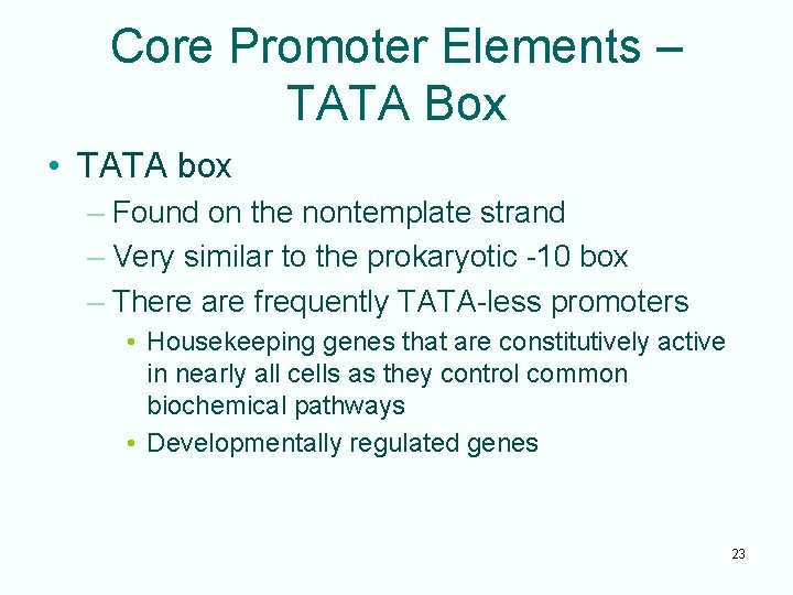 Core Promoter Elements – TATA Box • TATA box – Found on the nontemplate