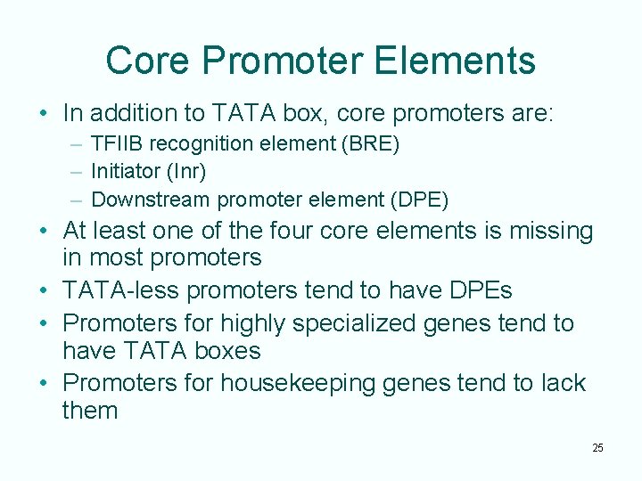 Core Promoter Elements • In addition to TATA box, core promoters are: – TFIIB