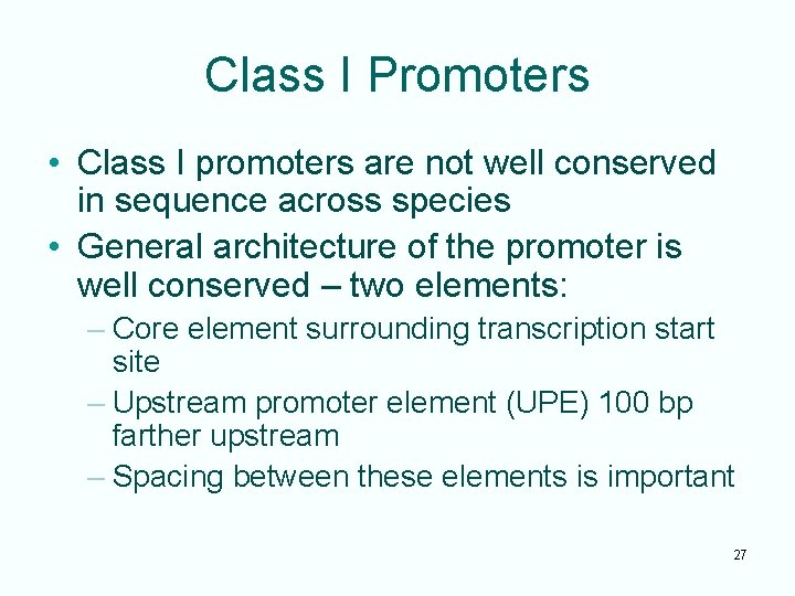 Class I Promoters • Class I promoters are not well conserved in sequence across