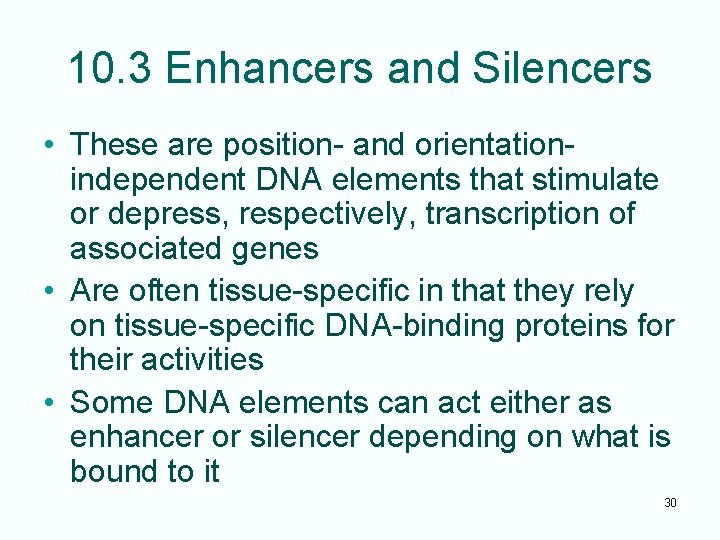 10. 3 Enhancers and Silencers • These are position- and orientationindependent DNA elements that