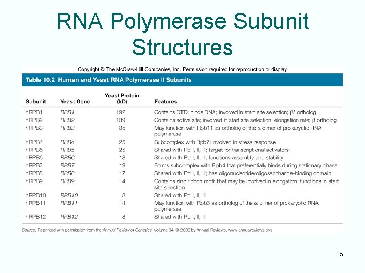 RNA Polymerase Subunit Structures 5 