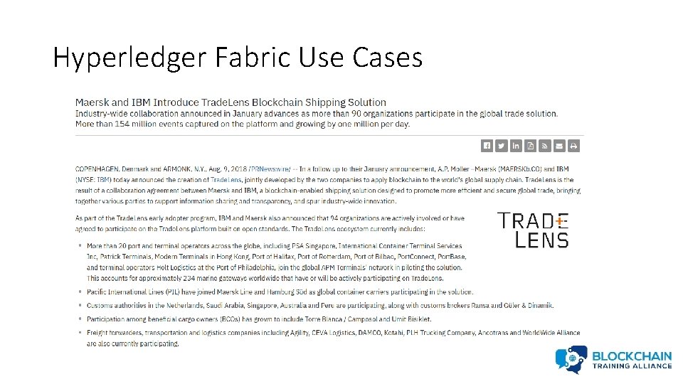 Hyperledger Fabric Use Cases 