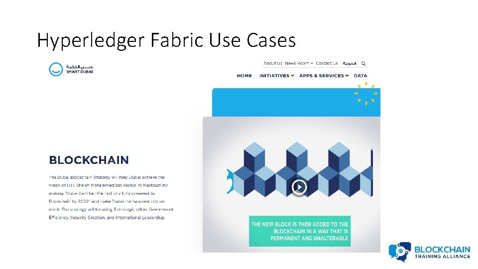 Hyperledger Fabric Use Cases 