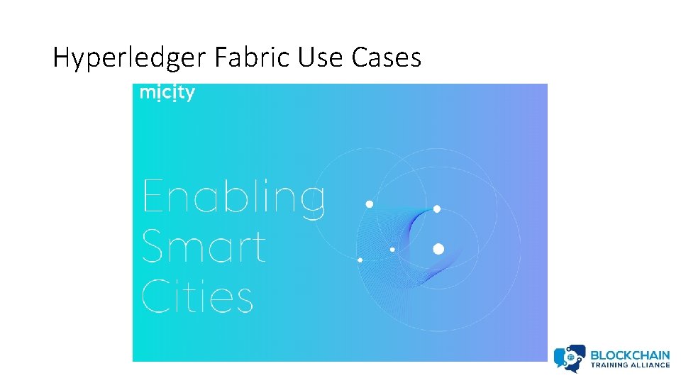 Hyperledger Fabric Use Cases 