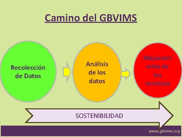 Camino del GBVIMS Recolección de Datos Análisis de los datos Mejorami ento de los