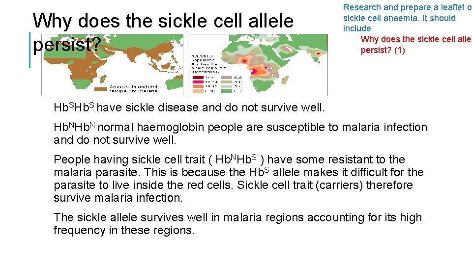 Why does the sickle cell allele persist? Research and prepare a leaflet on sickle