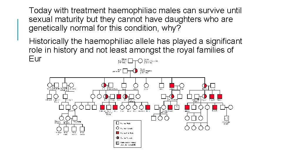 Today with treatment haemophiliac males can survive until sexual maturity but they cannot have