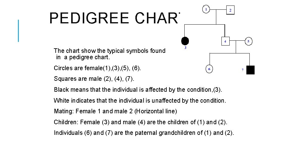 PEDIGREE CHARTS The chart show the typical symbols found in a pedigree chart. Circles